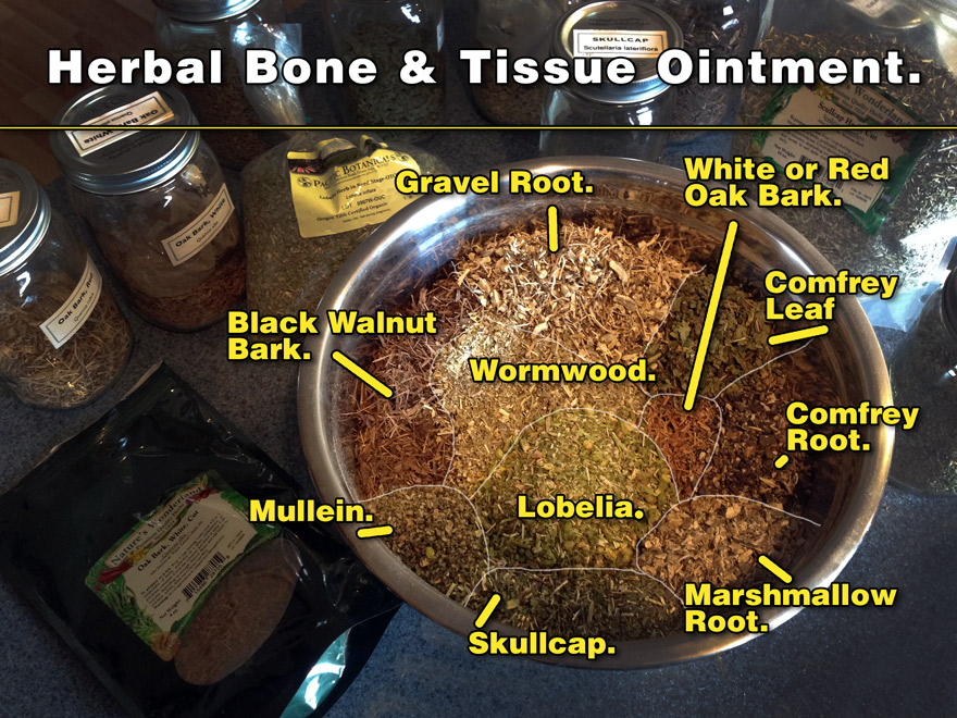bone_tissue