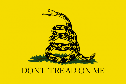 A Gadsden patriot flag. Kids were forced to remove this along with the confederate Battle flag and the American flag!